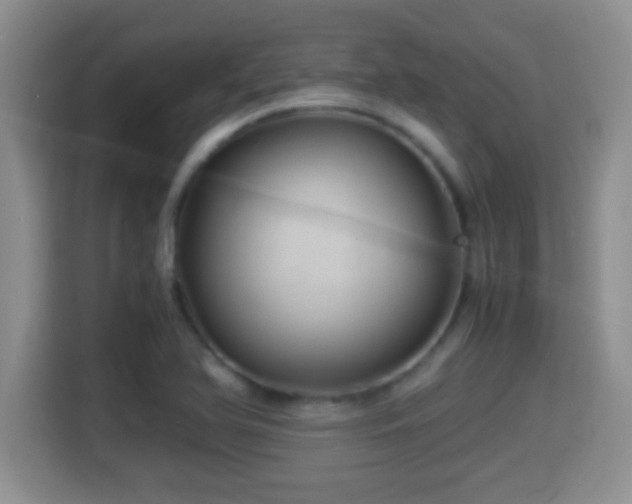 X0000116001366200911251051