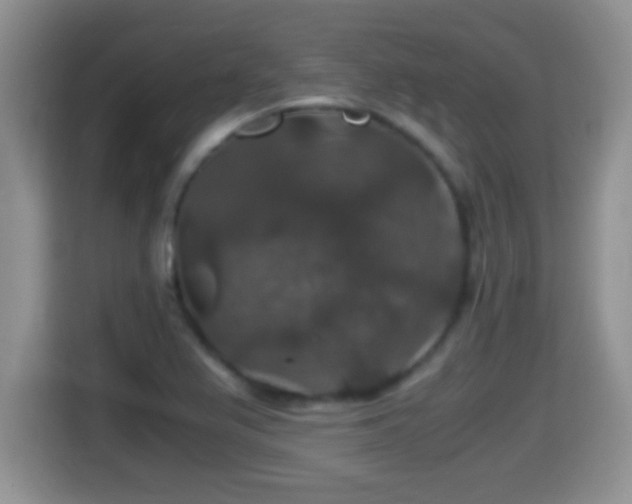 X0000116001367200911251051