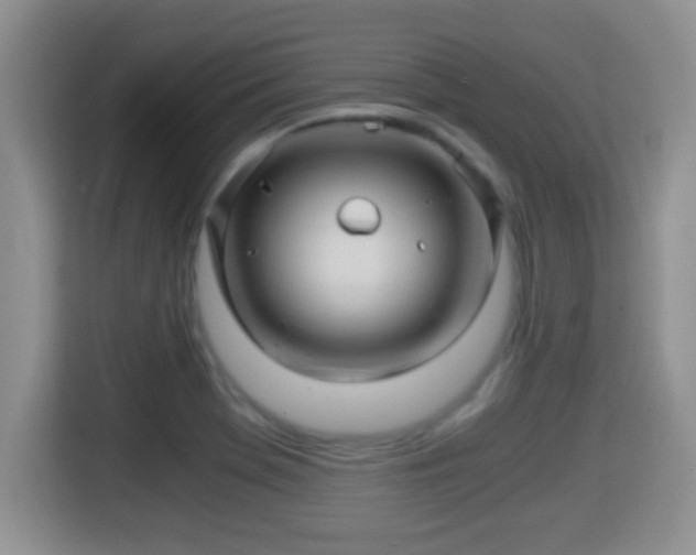 X0000116001369200911251051