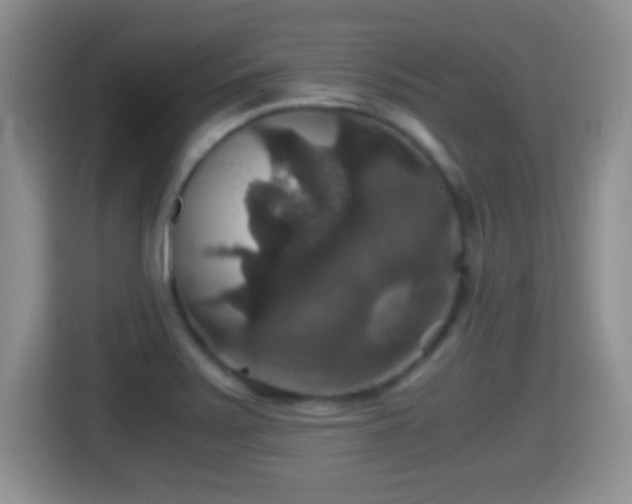 X0000116001371200911251051