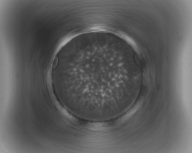 X0000116001373200911251051