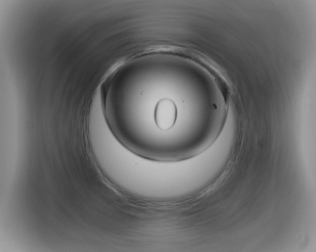 X0000116001377200911251051