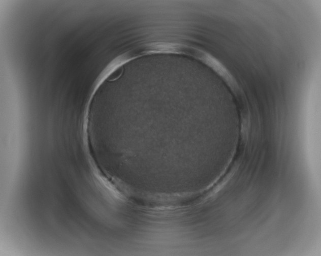 X0000116001378200911251051