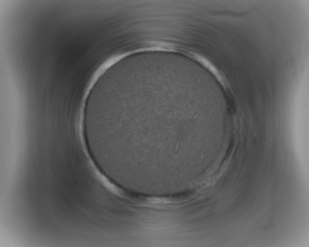 X0000116001379200911251051