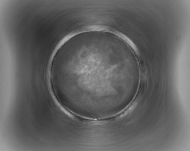 X0000116001381200911251051