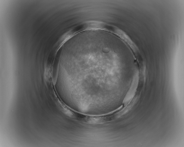 X0000116001385200911251051