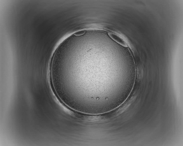 X0000116001387200911251051