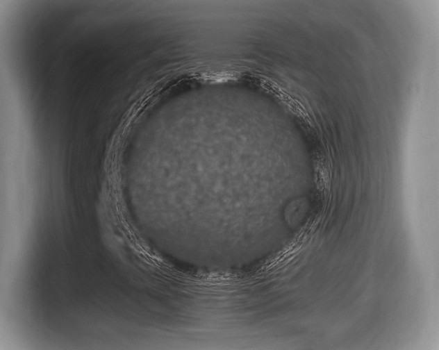 X0000116001393200911251051