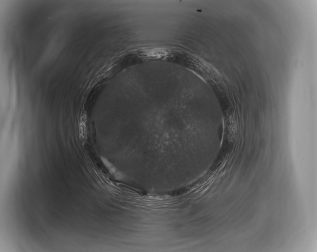 X0000116001394200911251051