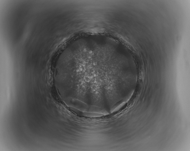 X0000116001398200911251051