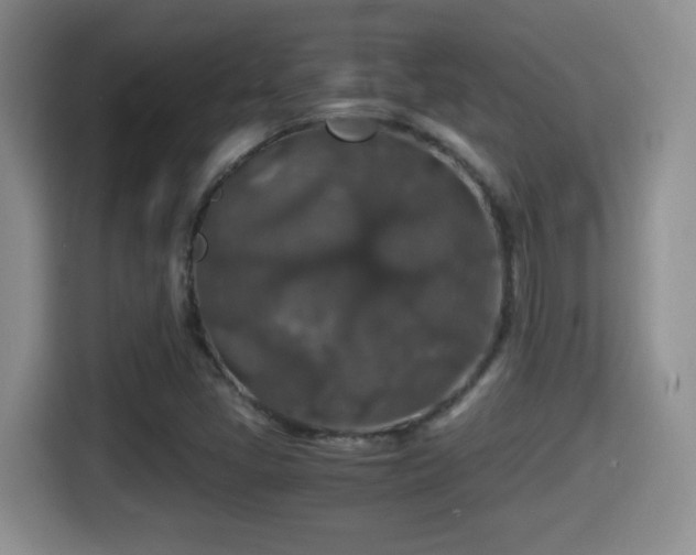 X0000116001405200911251051