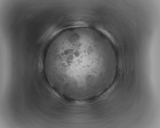 X0000116001407200911251051