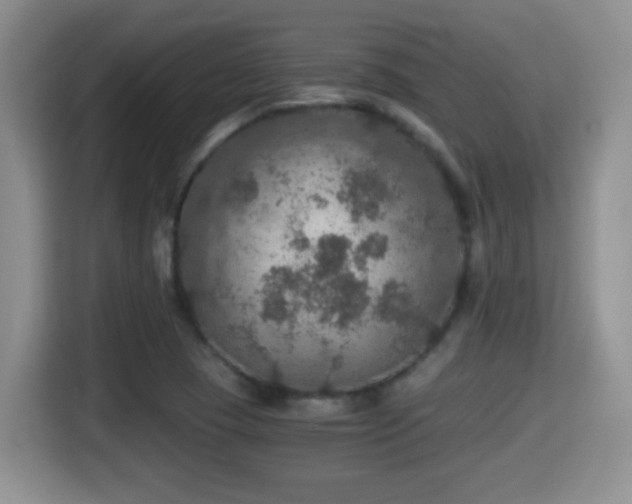 X0000116001409200911251051