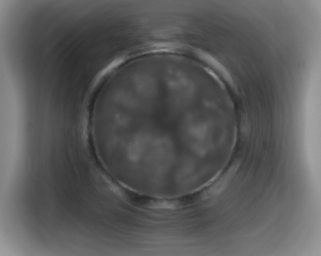 X0000116001411200911251051