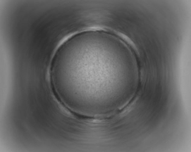 X0000116001412200911251051