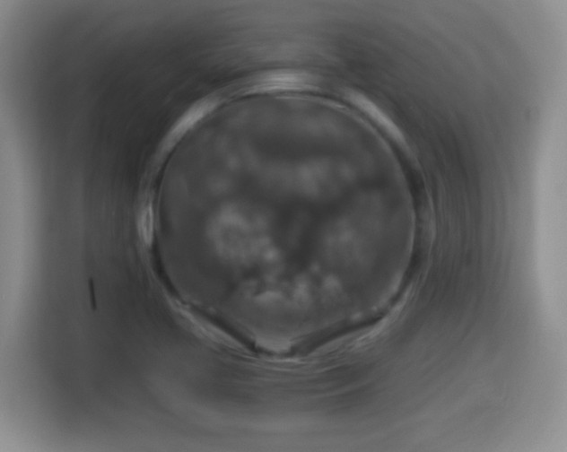 X0000116001413200911251051