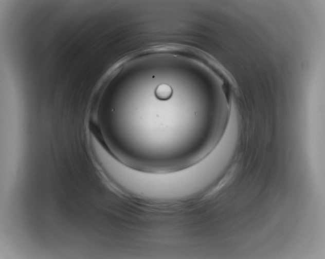 X0000116001417200911251051