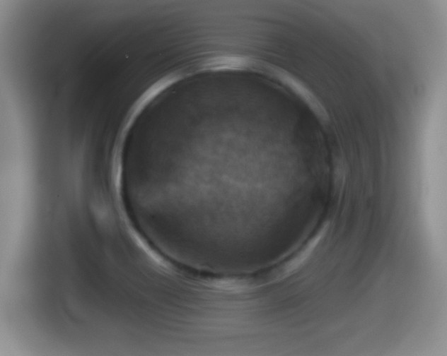 X0000116001418200911251051