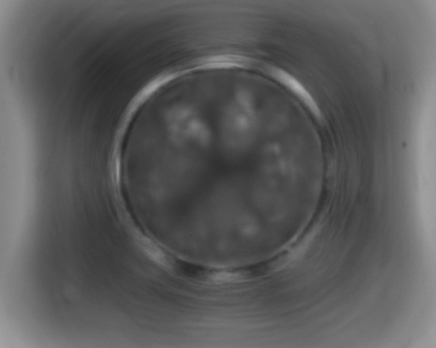 X0000116001419200911251051