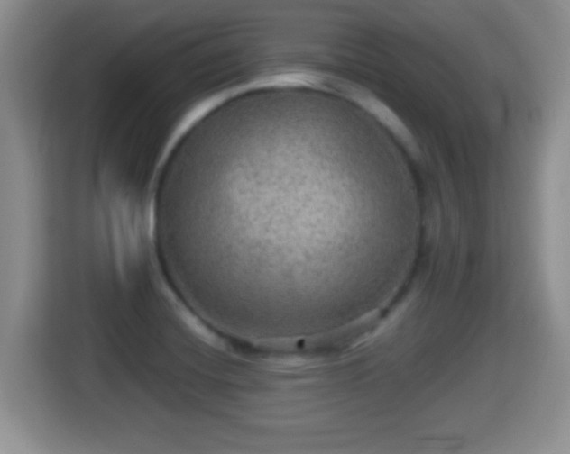 X0000116001420200911251051