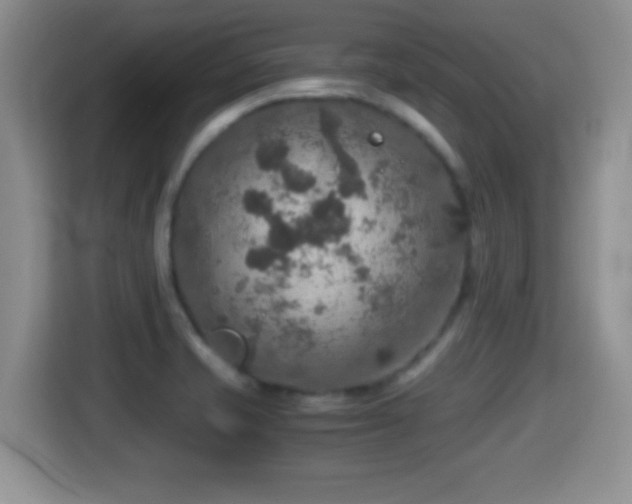 X0000116001421200911251051