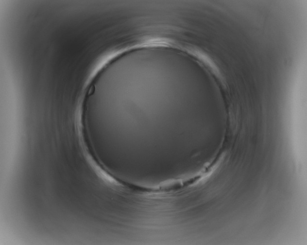 X0000116001422200911251051