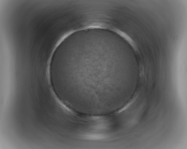 X0000116001423200911251051