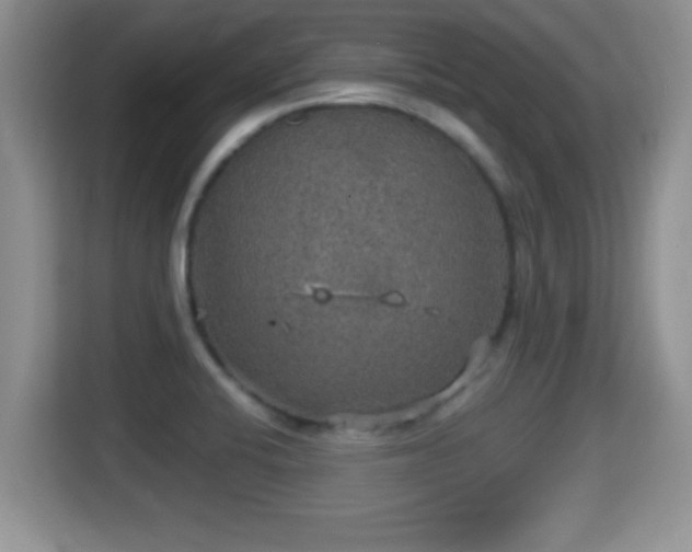 X0000116001424200911251051