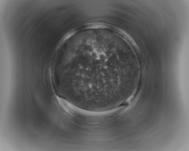 X0000116001425200911251051