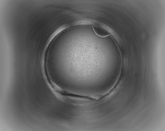 X0000116001426200911251051