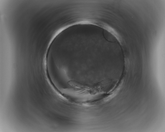 X0000116001428200911251051