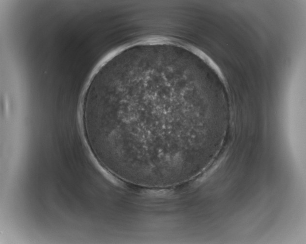 X0000116001429200911251051