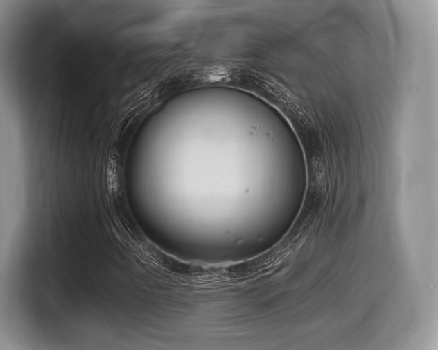 X0000116001442200911251050