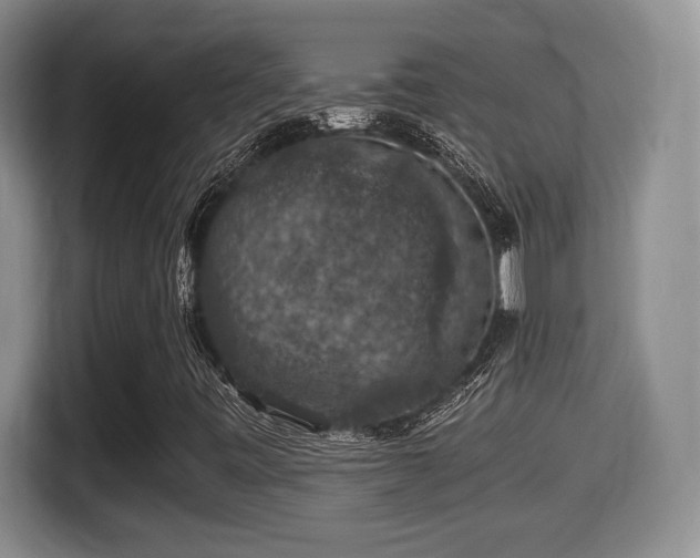 X0000116001443200911251050