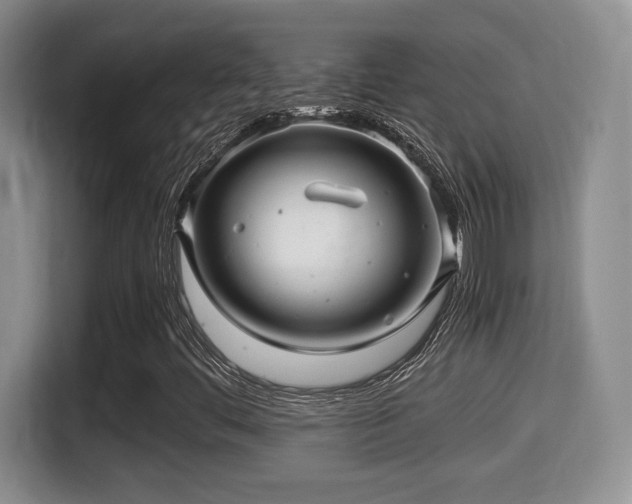 X0000116001444200911251050