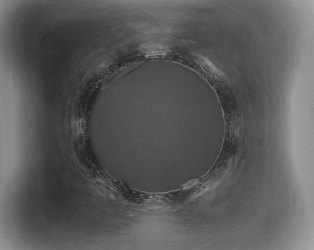 X0000116001445200911251050