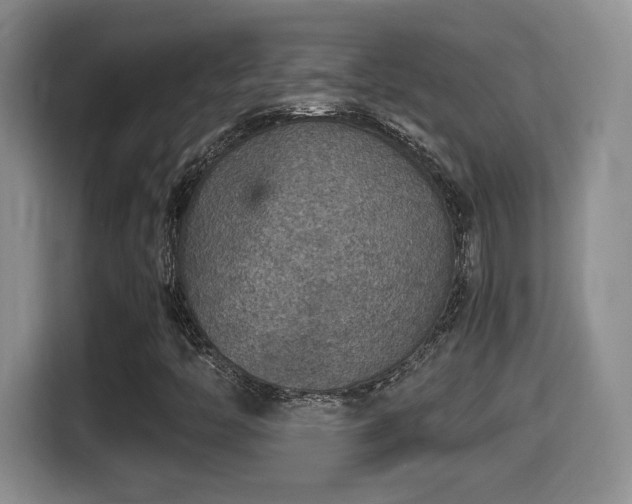 X0000116001446200911251050