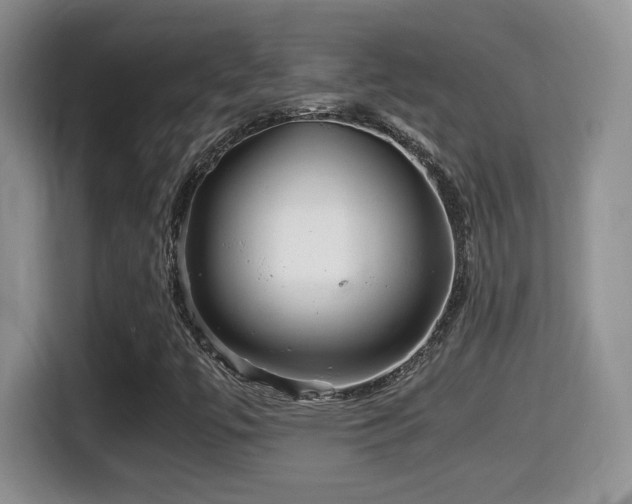 X0000116001447200911251050