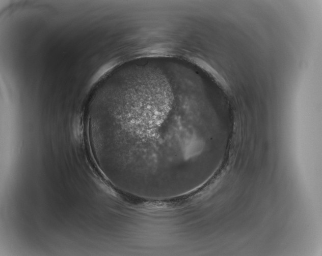 X0000116001450200911251050