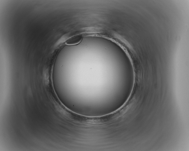 X0000116001451200911251050