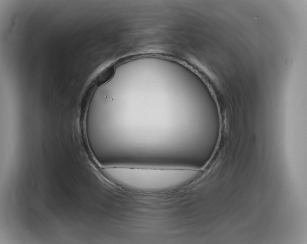 X0000116001452200911251050