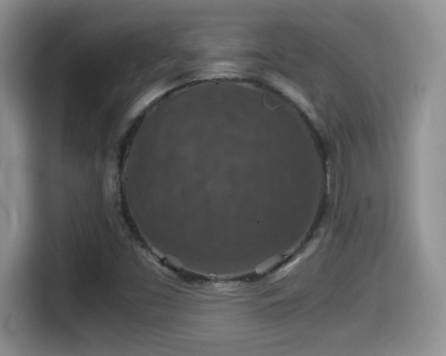 X0000116001453200911251050