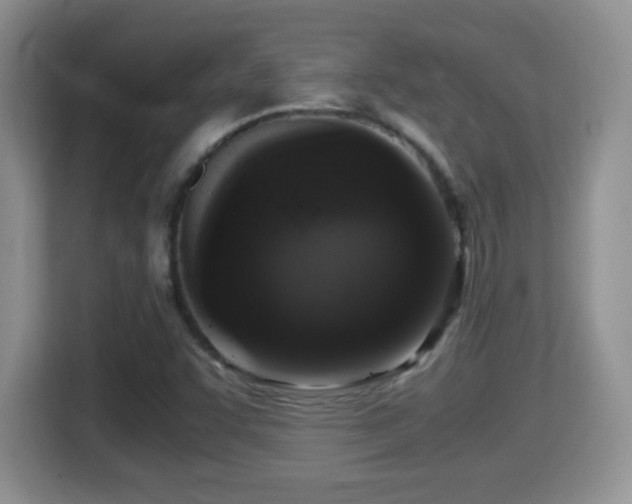 X0000116001455200911251050