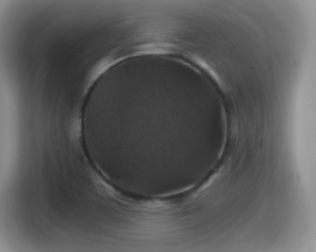 X0000116001459200911251050