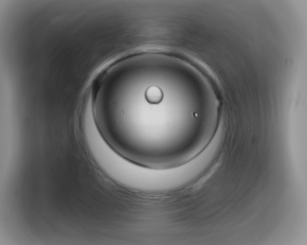 X0000116001461200911251050