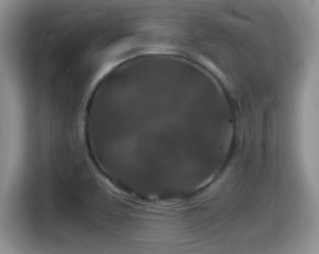 X0000116001463200911251050