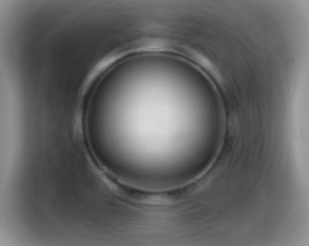 X0000116001464200911251050