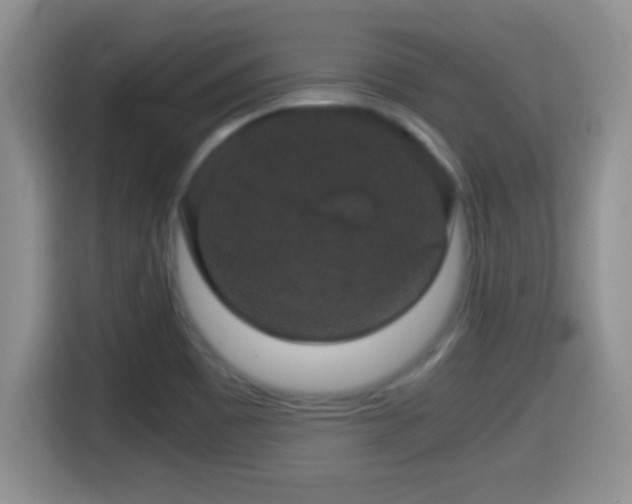 X0000116001465200911251050