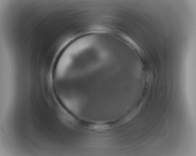 X0000116001466200911251050