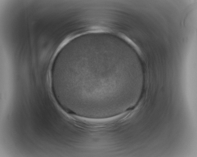 X0000116001467200911251050